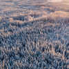 aerial-shot-of-the-taiga-forest