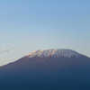 Mt Kilimanjaro at sunrise with flock of birds