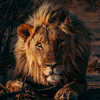 Wild lion in Tanzania