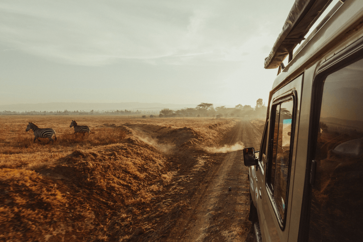 4x4 Safari