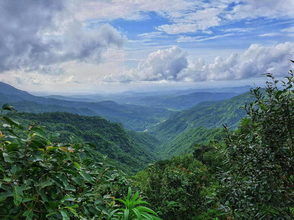 Amazon rainforest in Ecuador