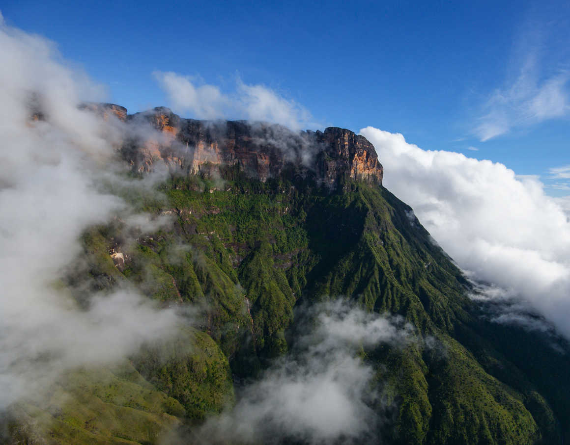 Auyan Tepui in the clouds Guyana