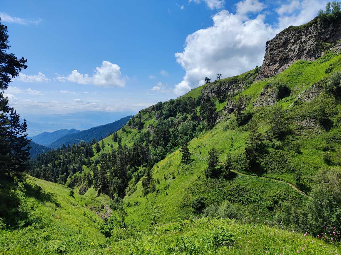 Breathtaking view of mountains and blue sky in Borjomi-Kharagauli National Park.