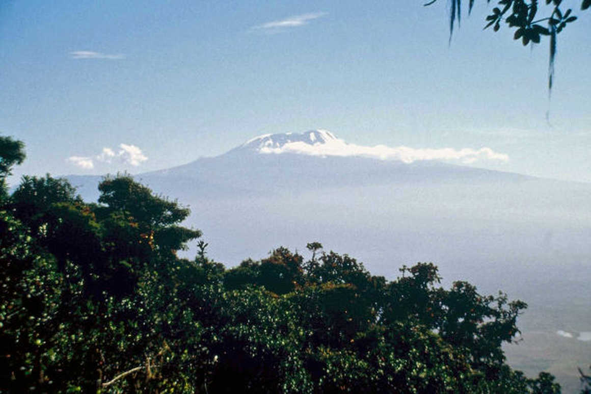 Cathy O Dowd climbs Kilimanjaro