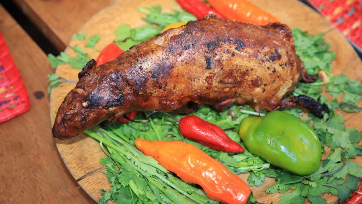 Cuy (guinea pig) on a plate with garnish
