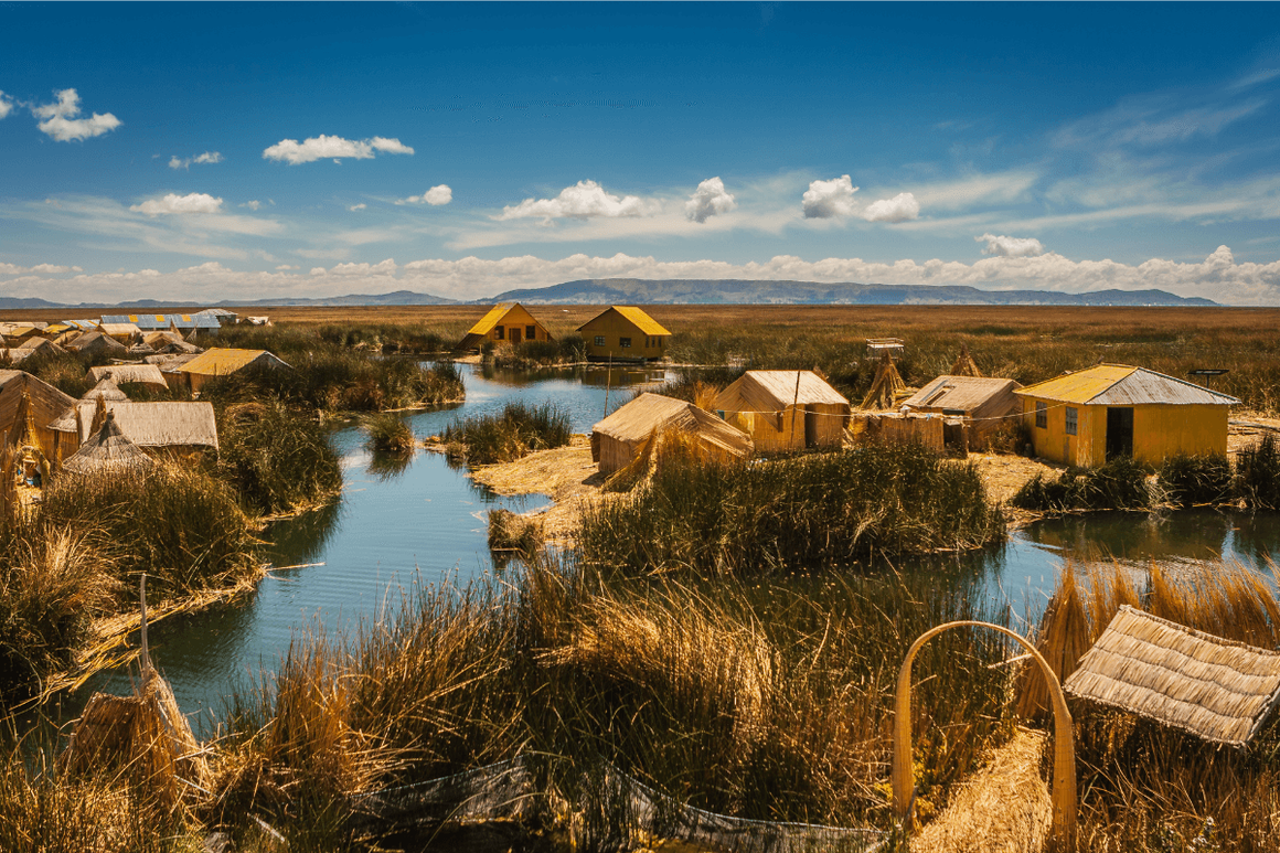 Floating islands amongst reeds with lake and mountains in background