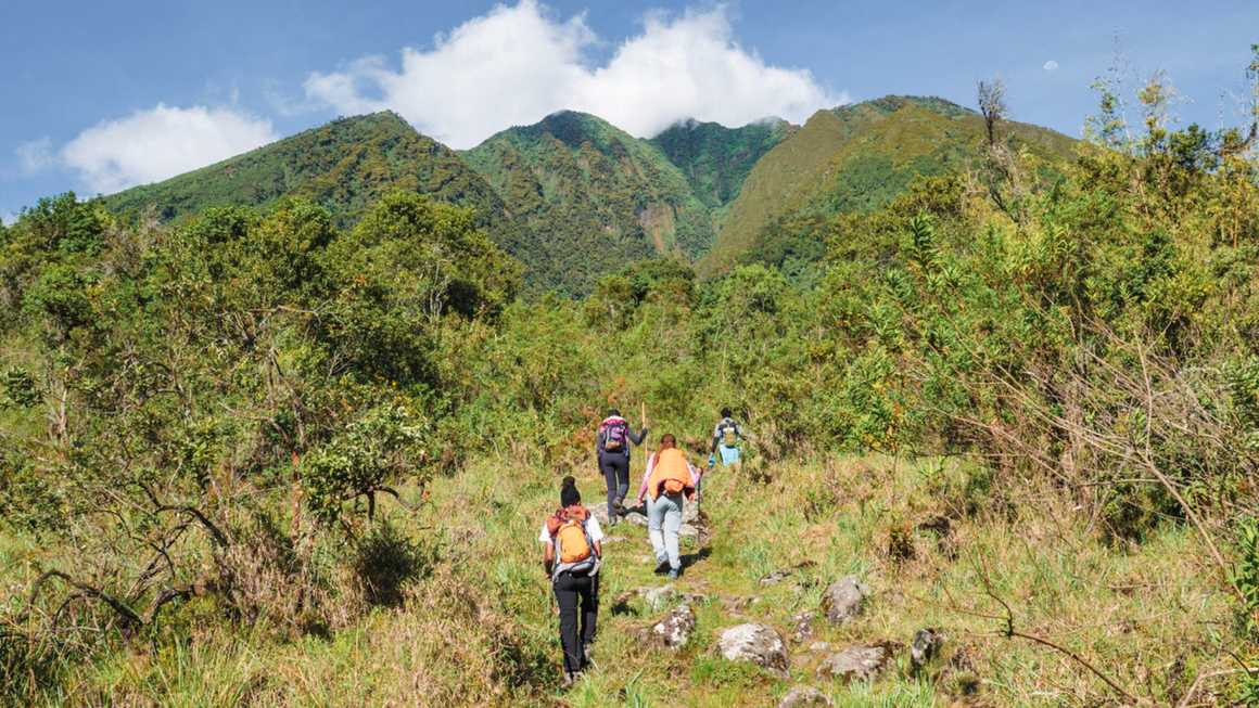 Group heading on a gorilla trek in Bwindi Impenetrable Forest Uganda