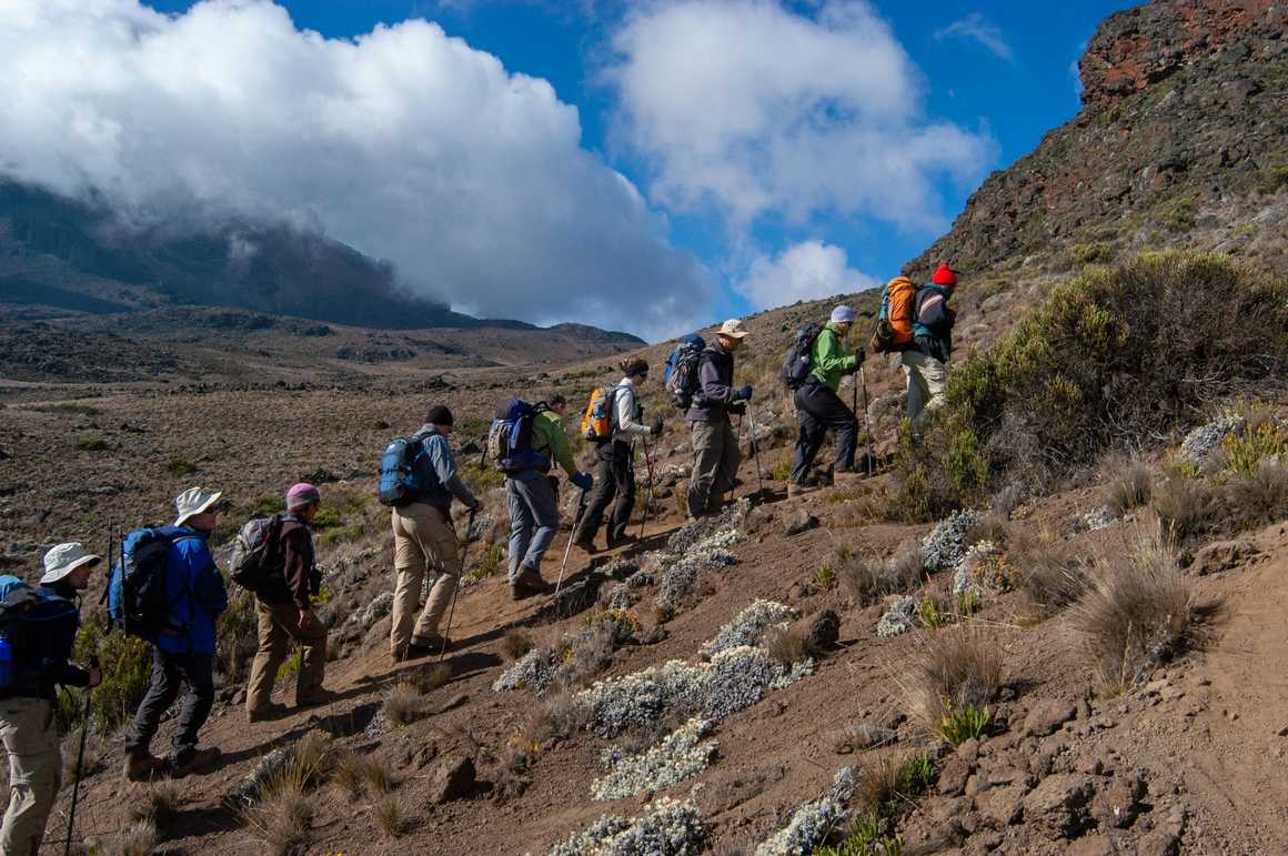 Group trekking up Kilimanjaro