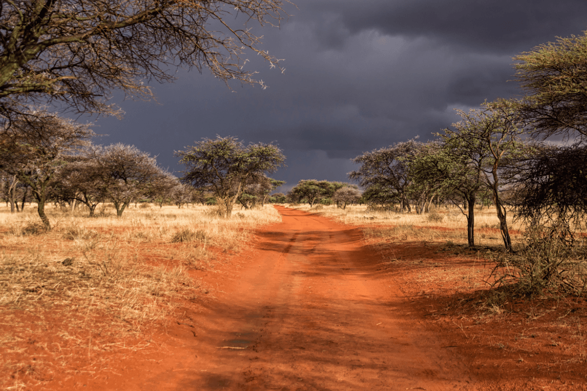 Heavy rain clouds appear overhead on safari road