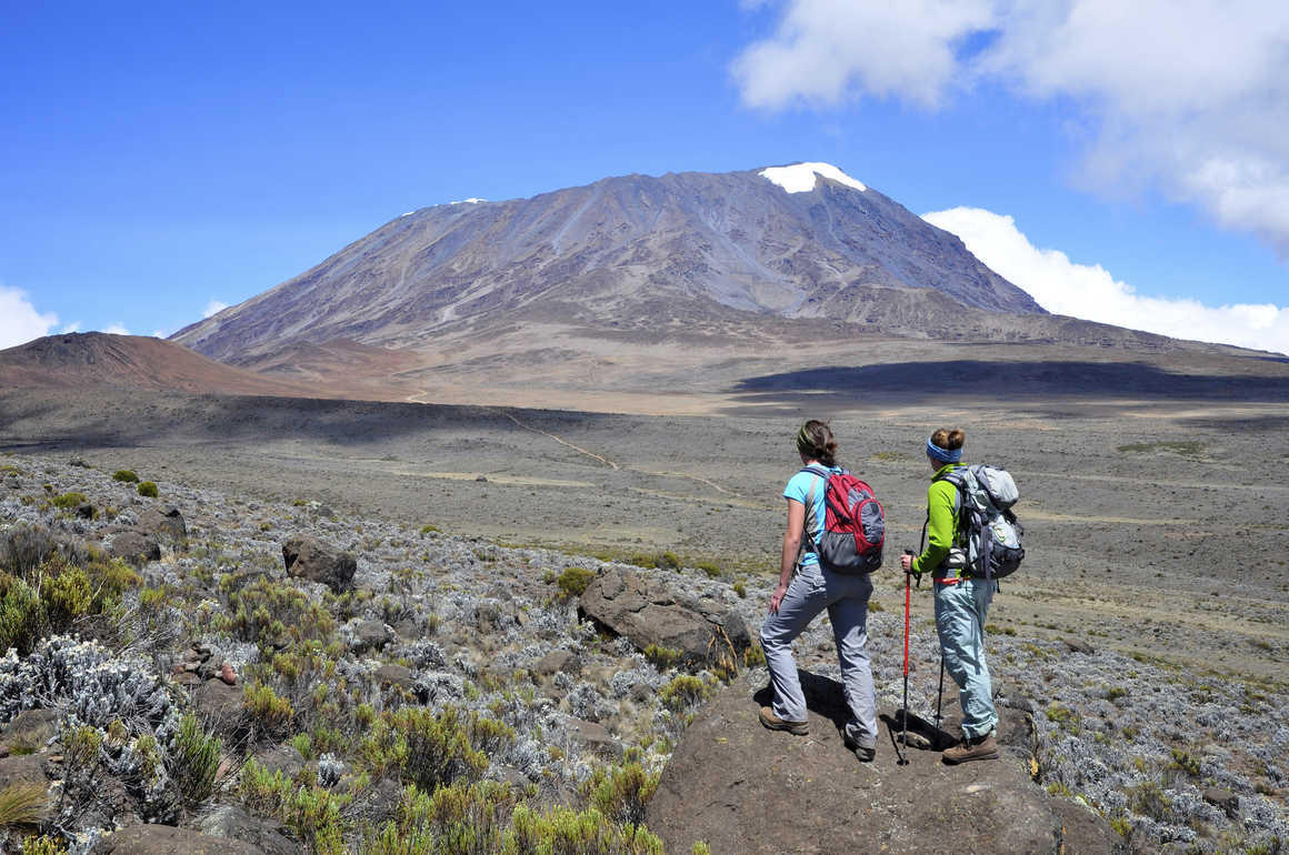 Hikers looking at the Mount Kilimanjaro