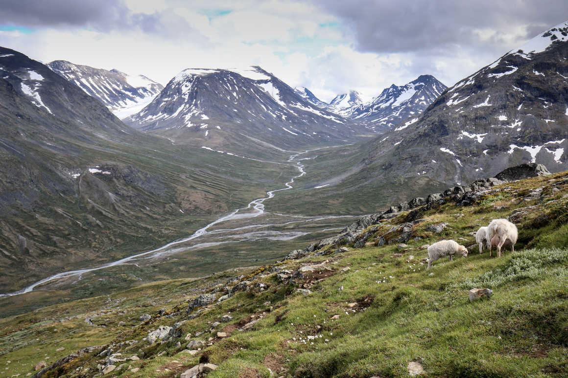 Mountains In Norway Kandoo Adventures   Jotunheimen National Park And Galdhopiggen In Norway Istock 2849 