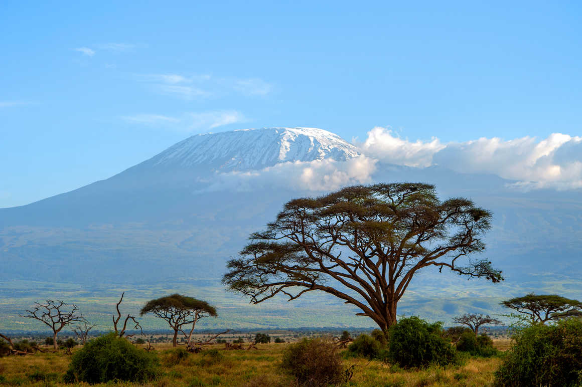 Kilimanjaro