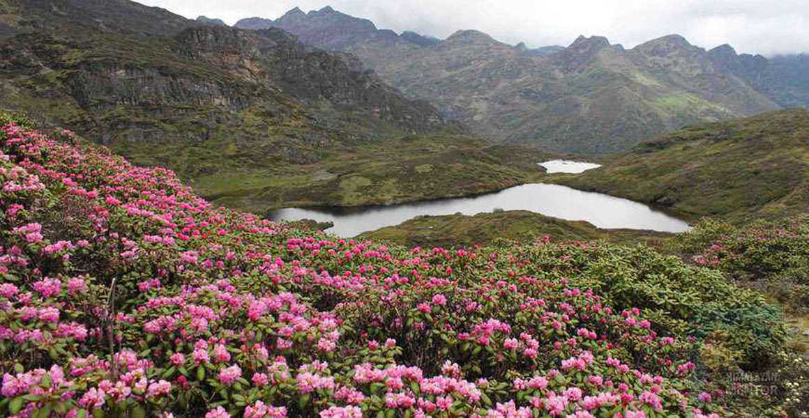 Lake during the Druth Path Trek with pink flowers blossoming