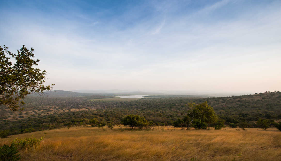 Lake Mburo National Park, Uganda