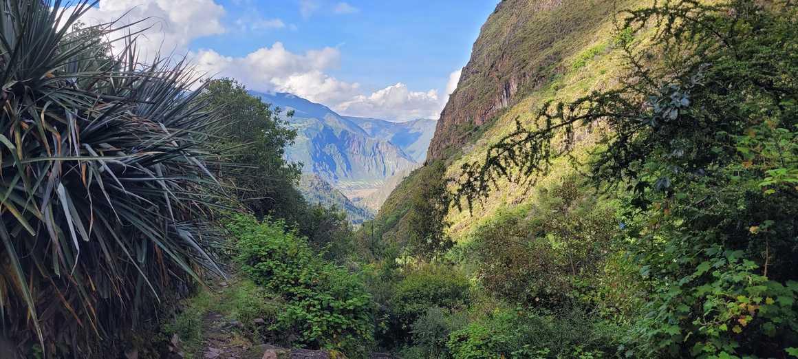 lush-greenery-on-the-lares-trek