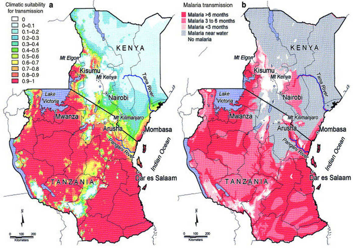 fit for travel tanzania malaria map