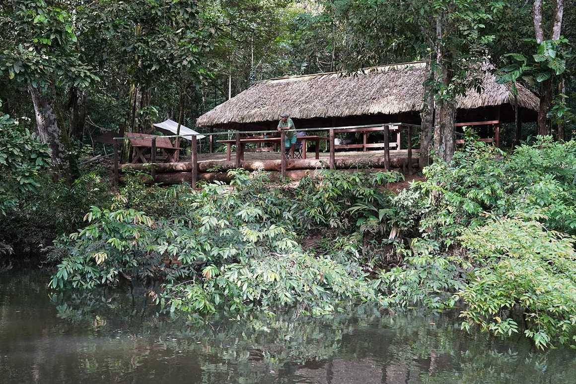 mapari-wilderness-camp