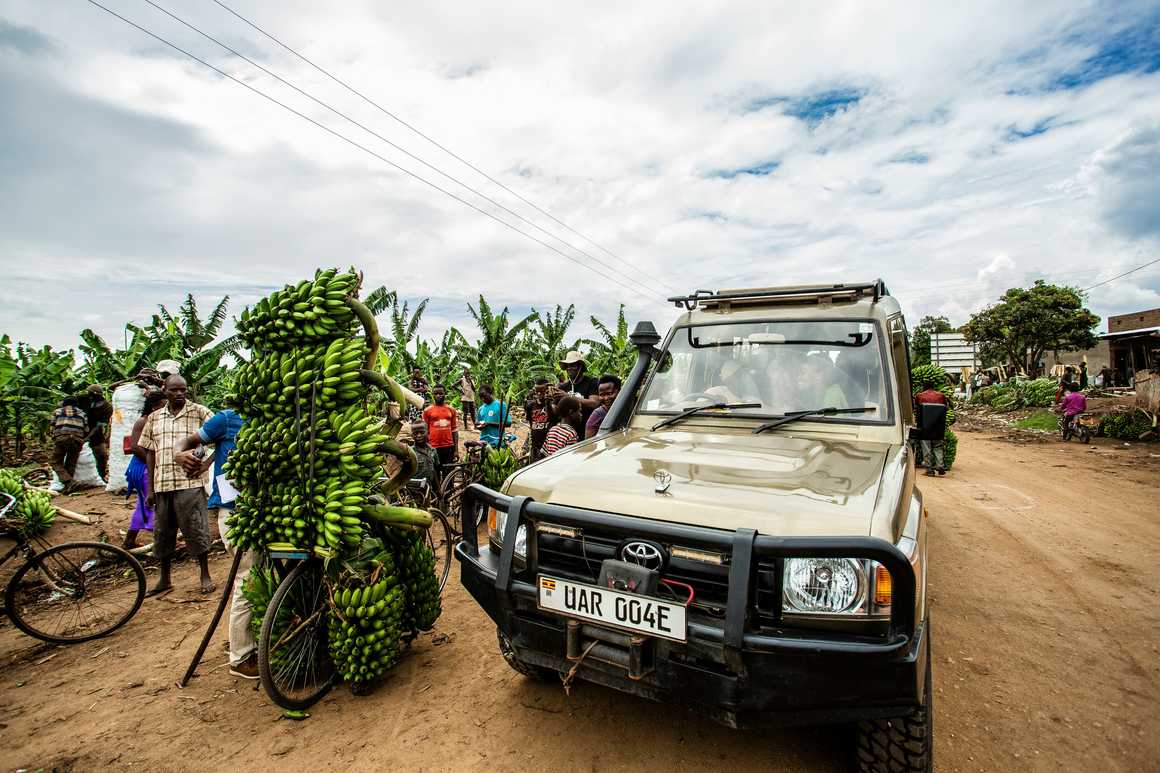 Matoke on a bike in Uganda