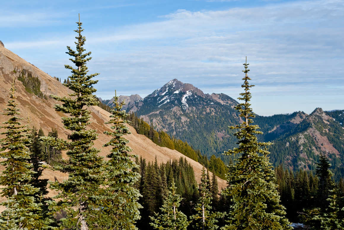 Mount Angeles, Olympic National Park