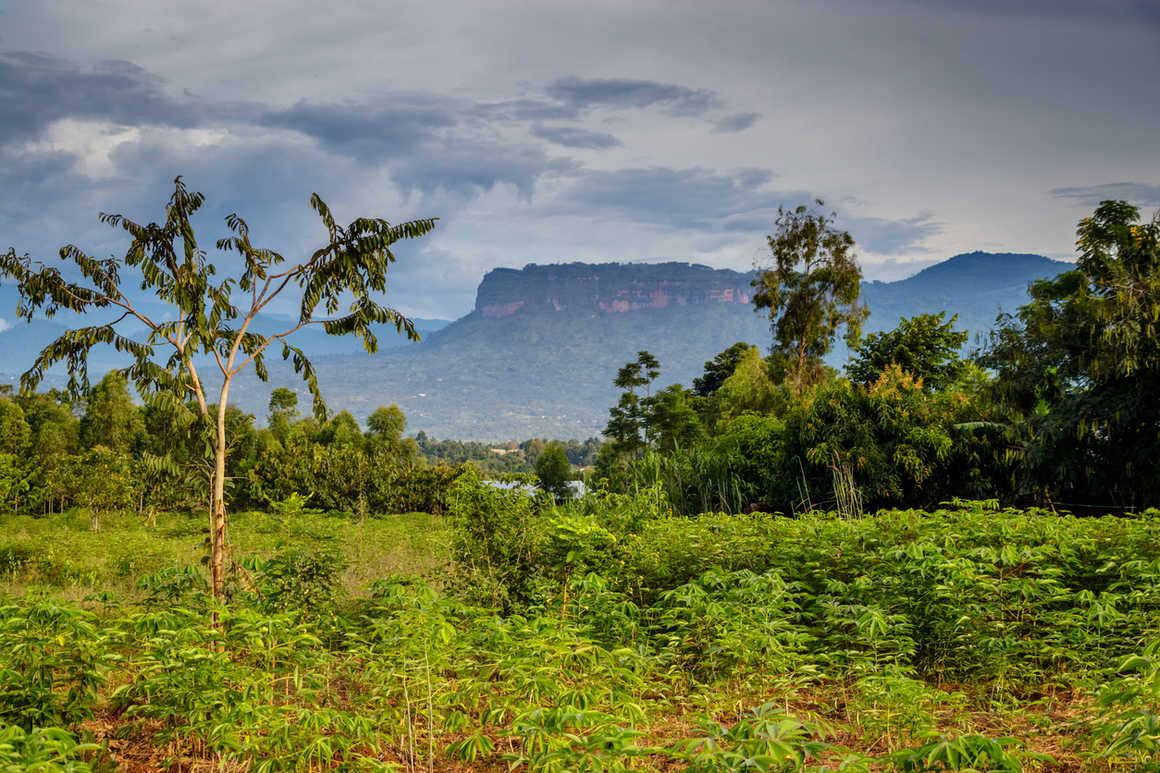 Mount Elgon, Mount Elgon National Park