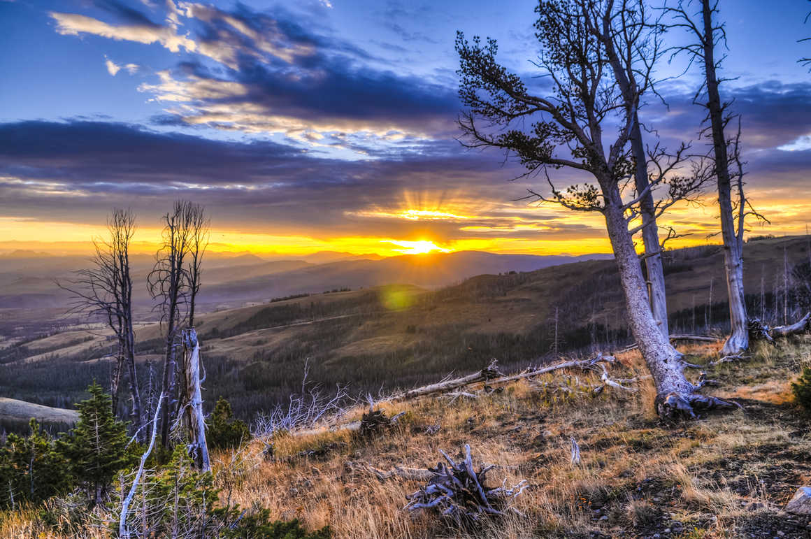 Mount Washburn, Yellowstone National Park