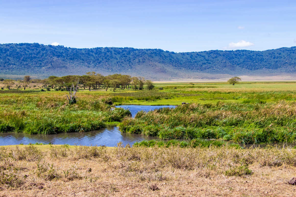 Ngorongora Crater Landscape - Tanzania