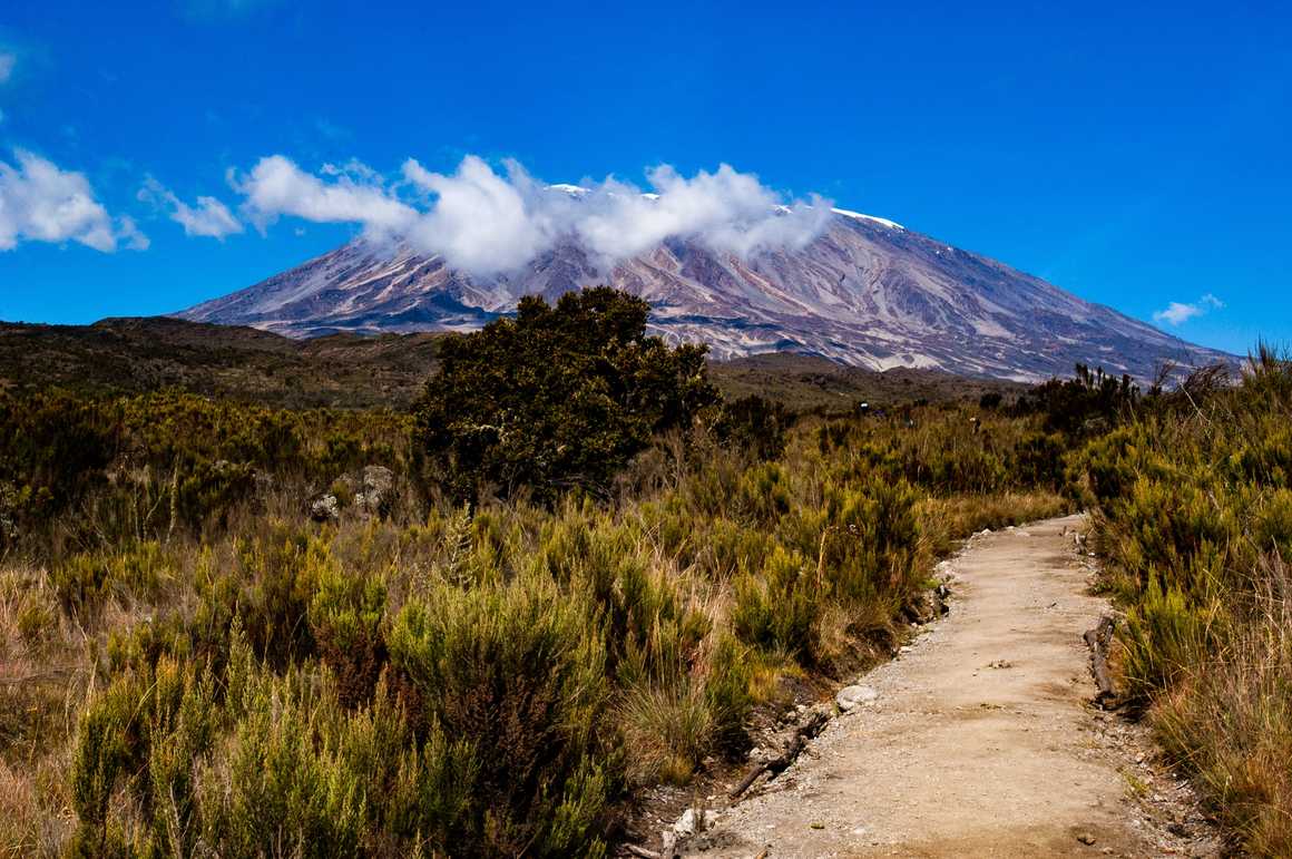 Rongai Route, Kilimanjaro