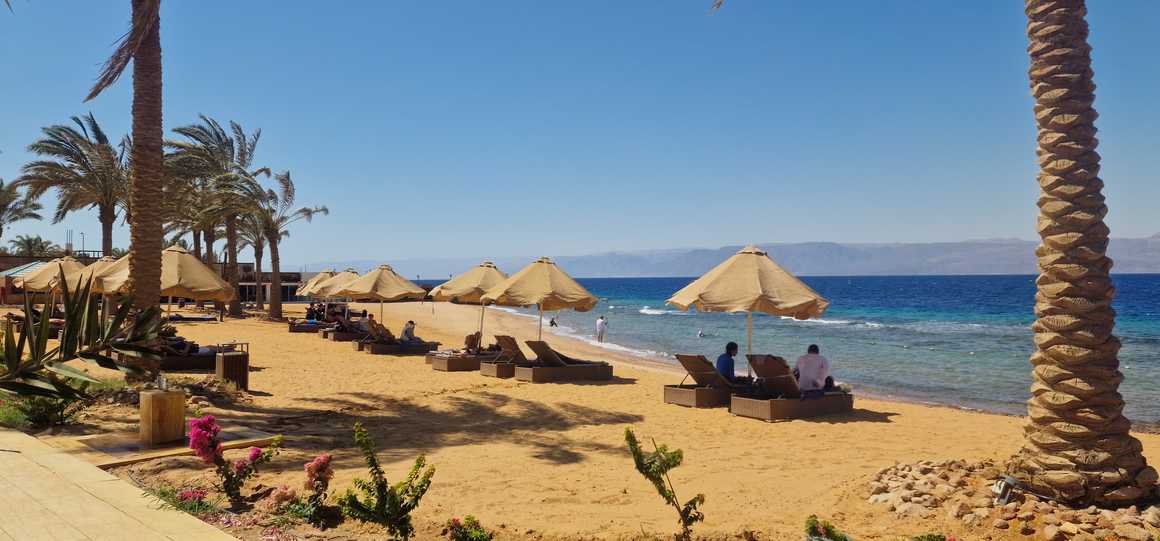 Sandy beach with loungers parasols and palm trees on the Red Sea