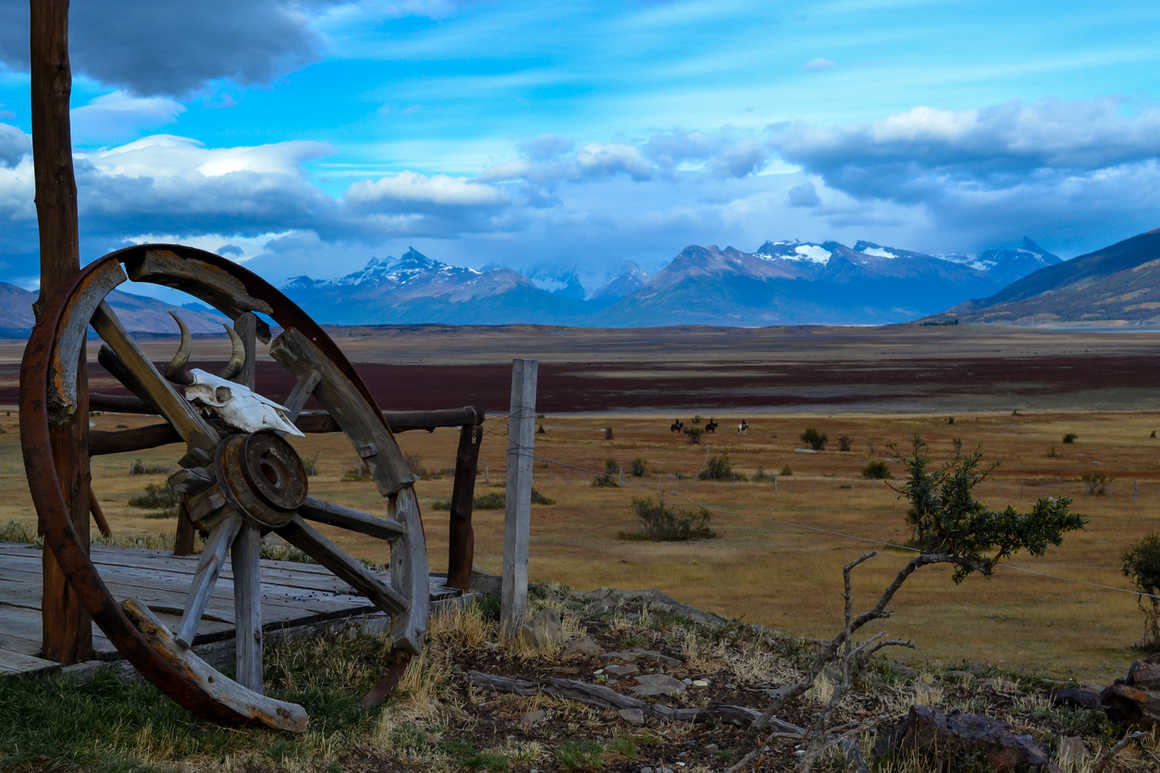 skull resting on top of a broken wagon wheel watches the plains of Patagonia and the riders in the distance.