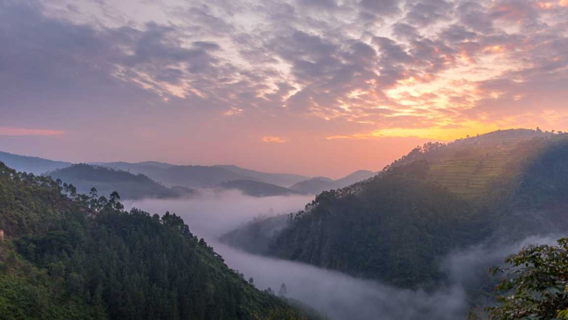 Sunset over Bwindi Impenetrable Forest Uganda