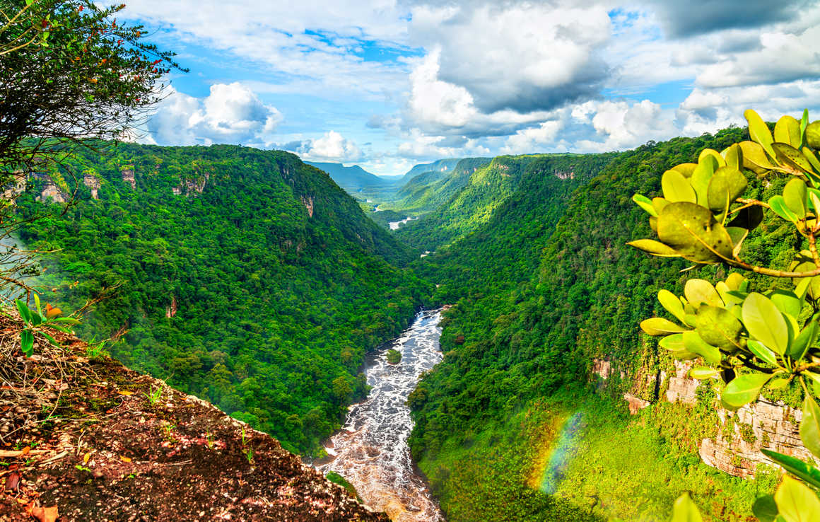 The Potaro river valley under Kaieteur Falls in the Amazon rainforest of Guyana, South America