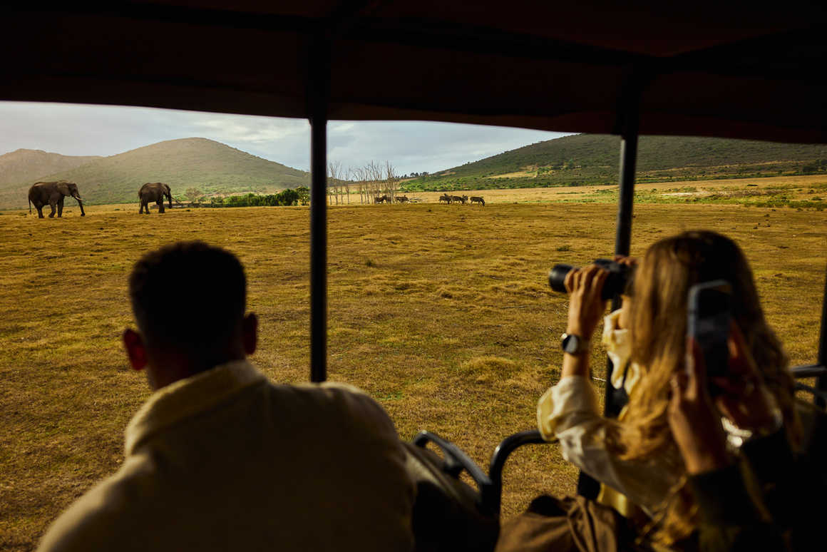 Tourists observing elephants and other wildlife on a safari game drive