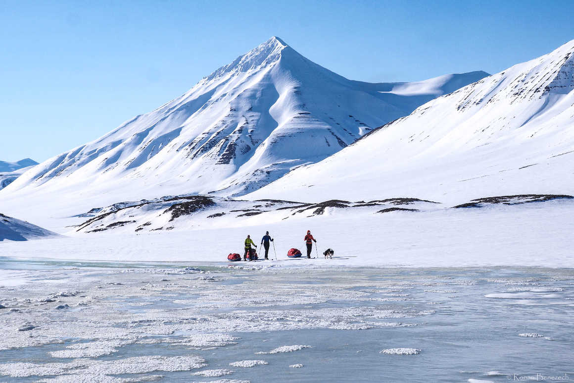 Trip in ski in Arctic