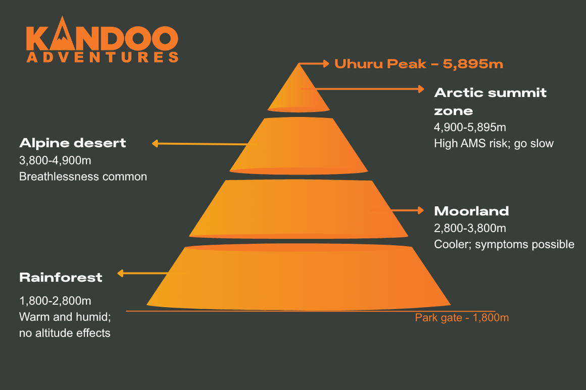 Uhuru Peak Infographic - summit zones
