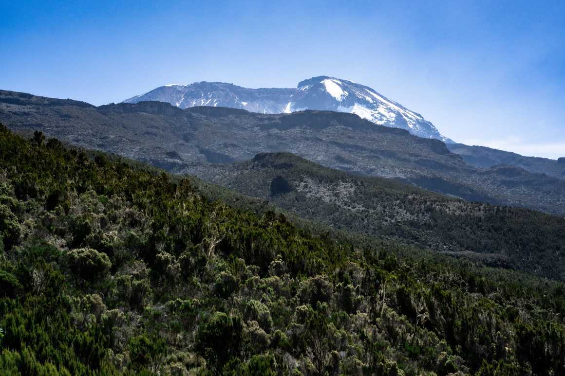 view-up-to-the-summit