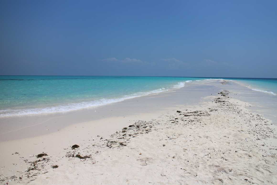 White sand beach on Zanzibar