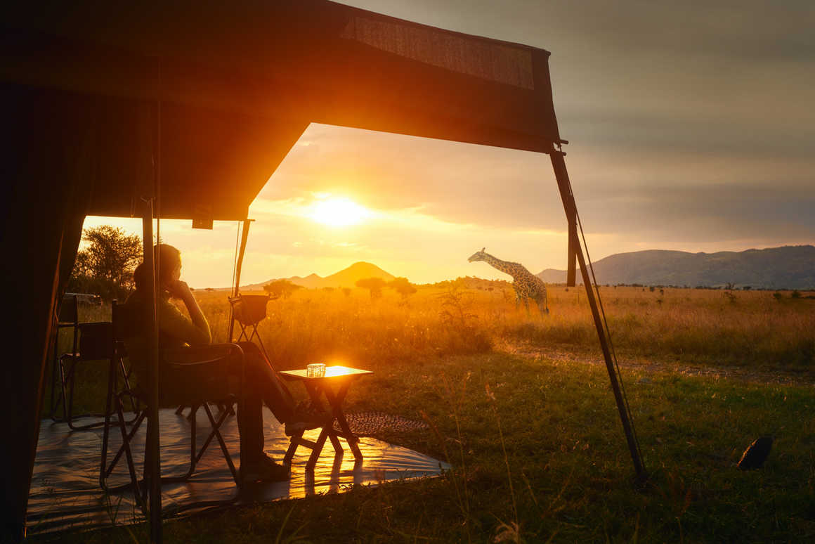 Woman rests after safari in luxury tent during sunset camping in the African savannah of Serengeti National Park