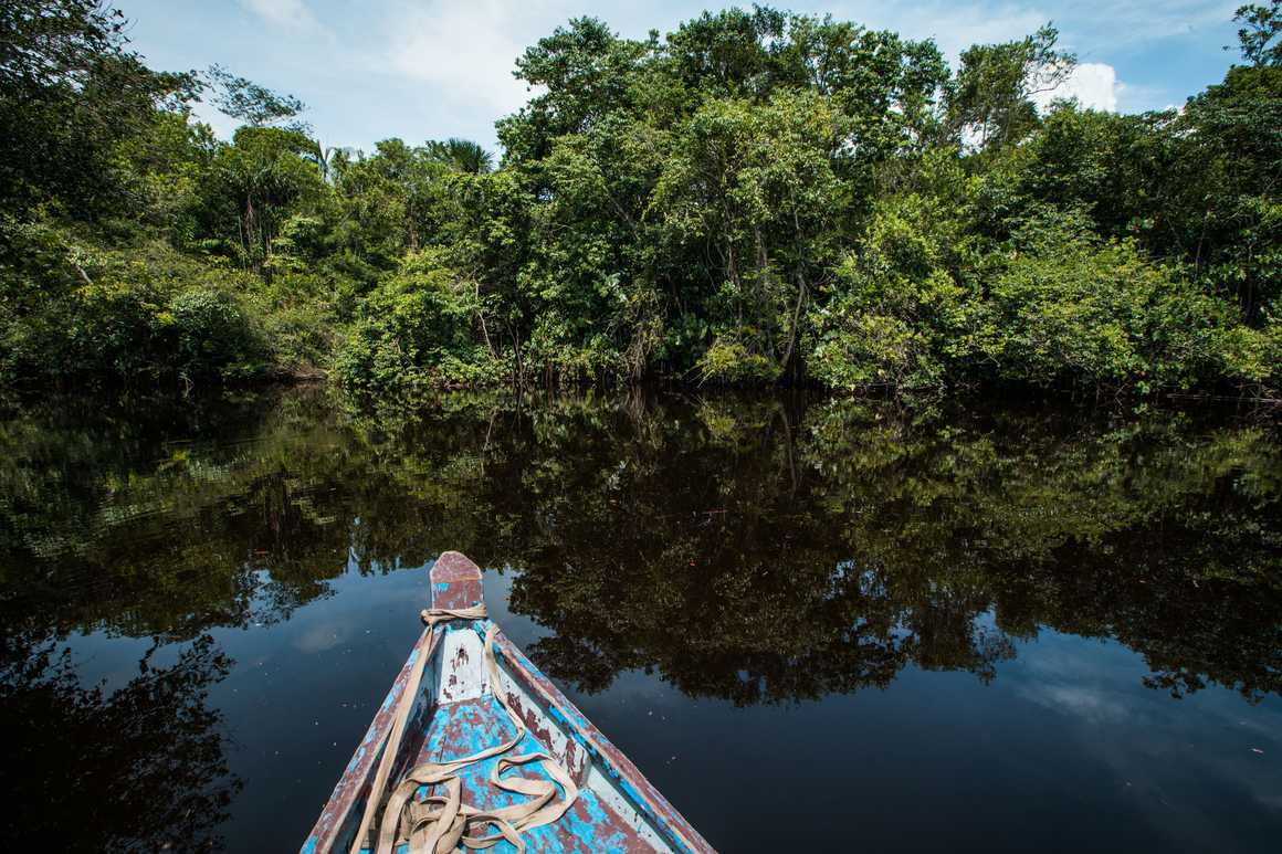 Wooden boat floating on the river through the rainforest in Guyana