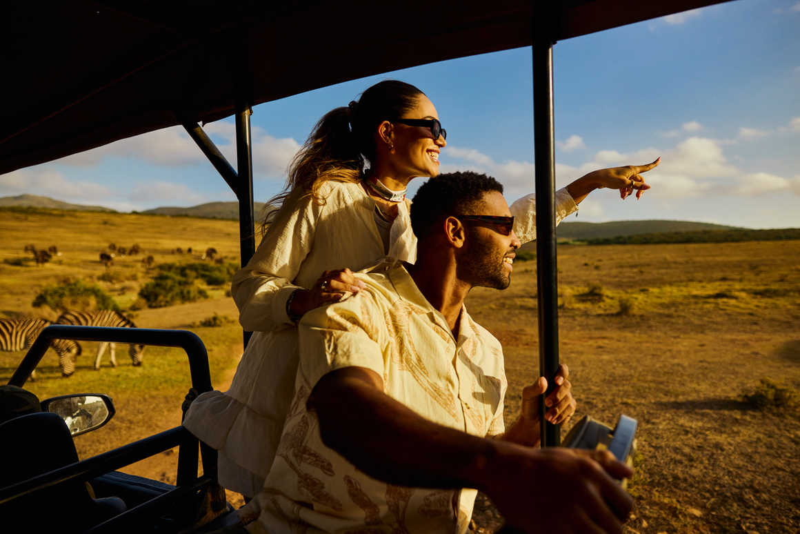 Young couple enjoying a game drive in a safari vehicle, watching zebras in the distance