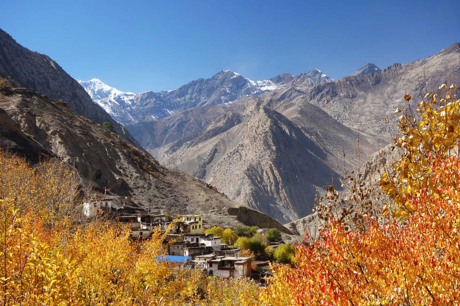 open roads annapurna open roads annapurna