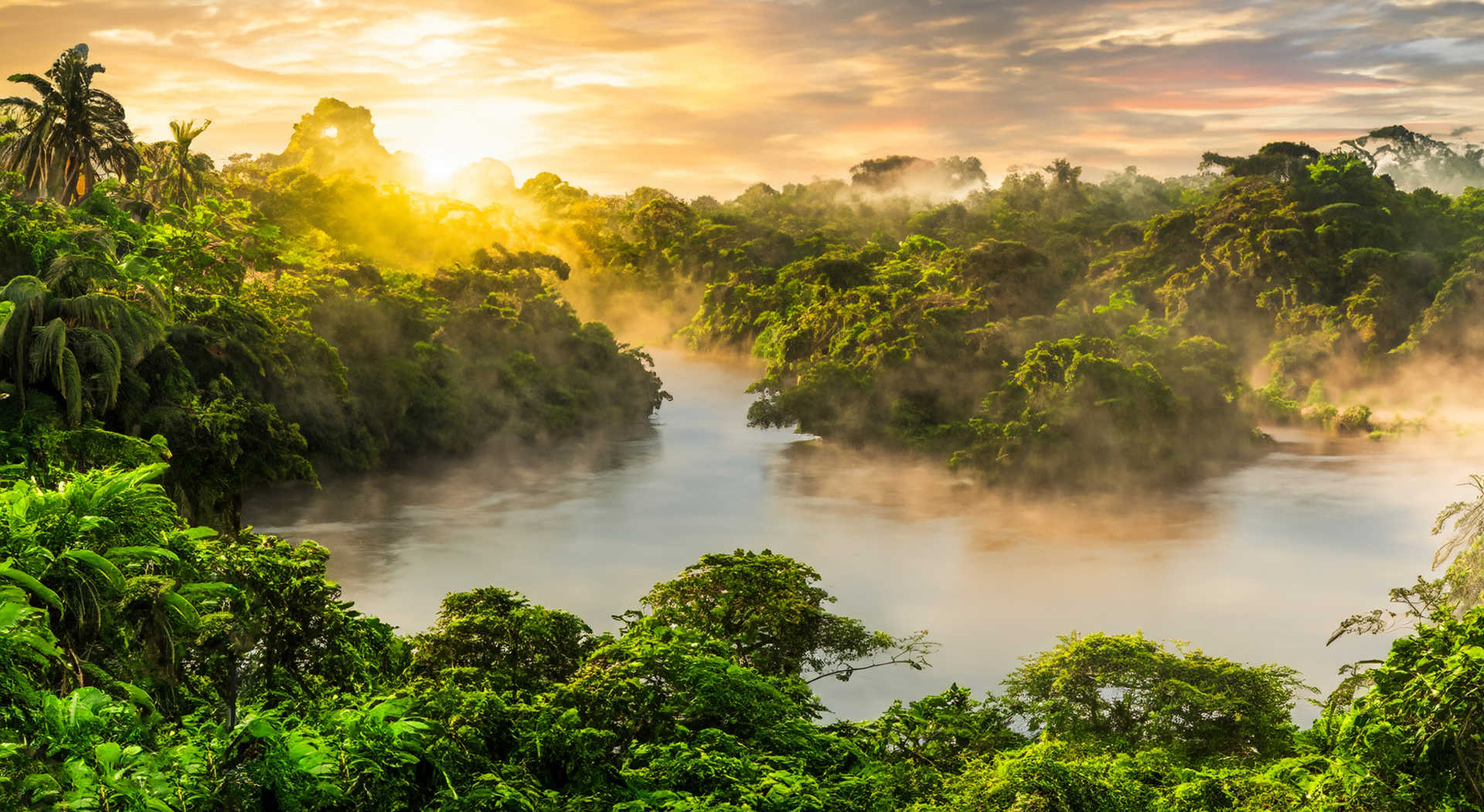 Amazon Rainforest Extension, Peru