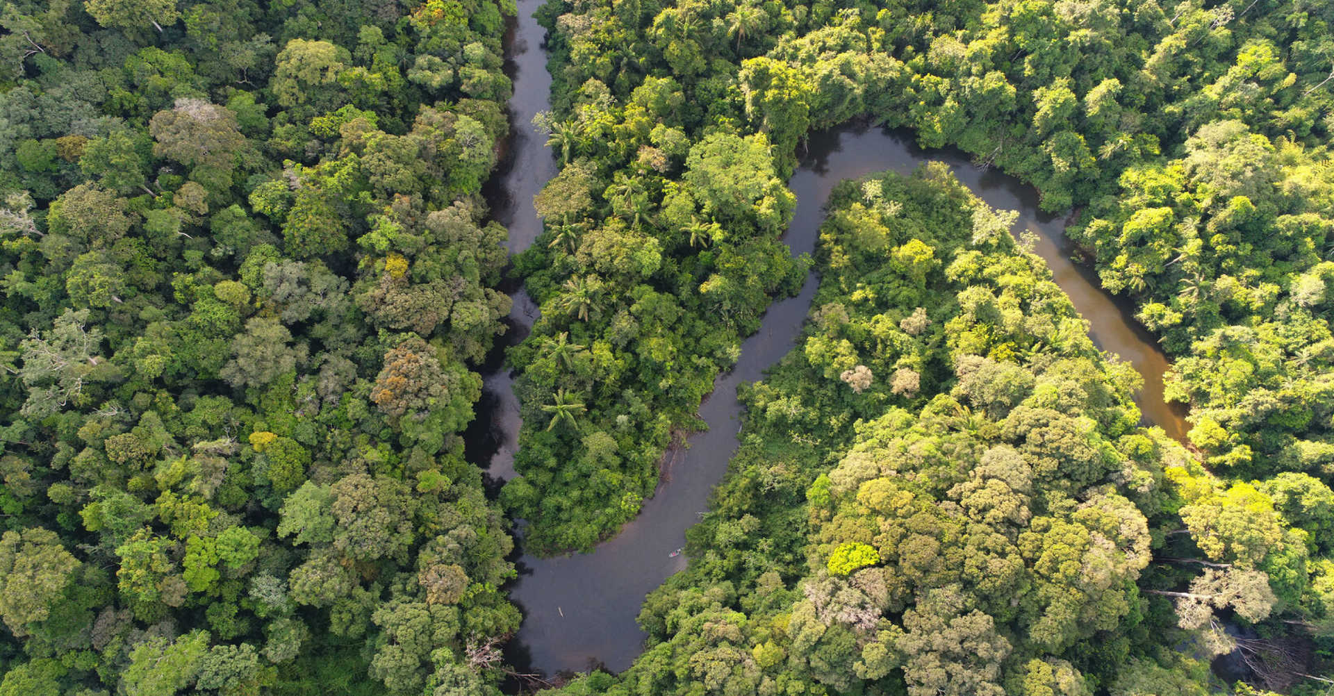 amazon-river-from-above