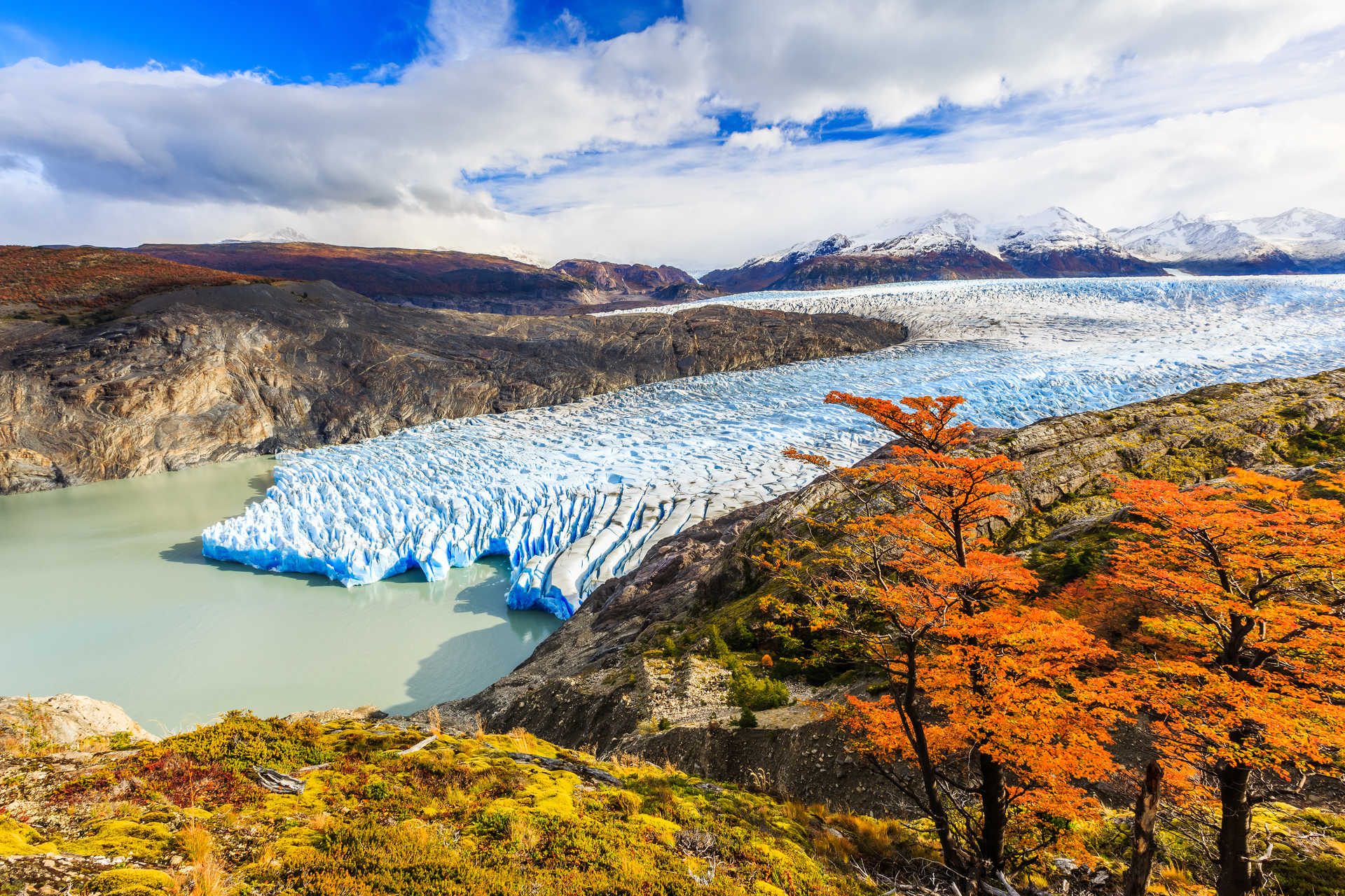 Grey Glacier