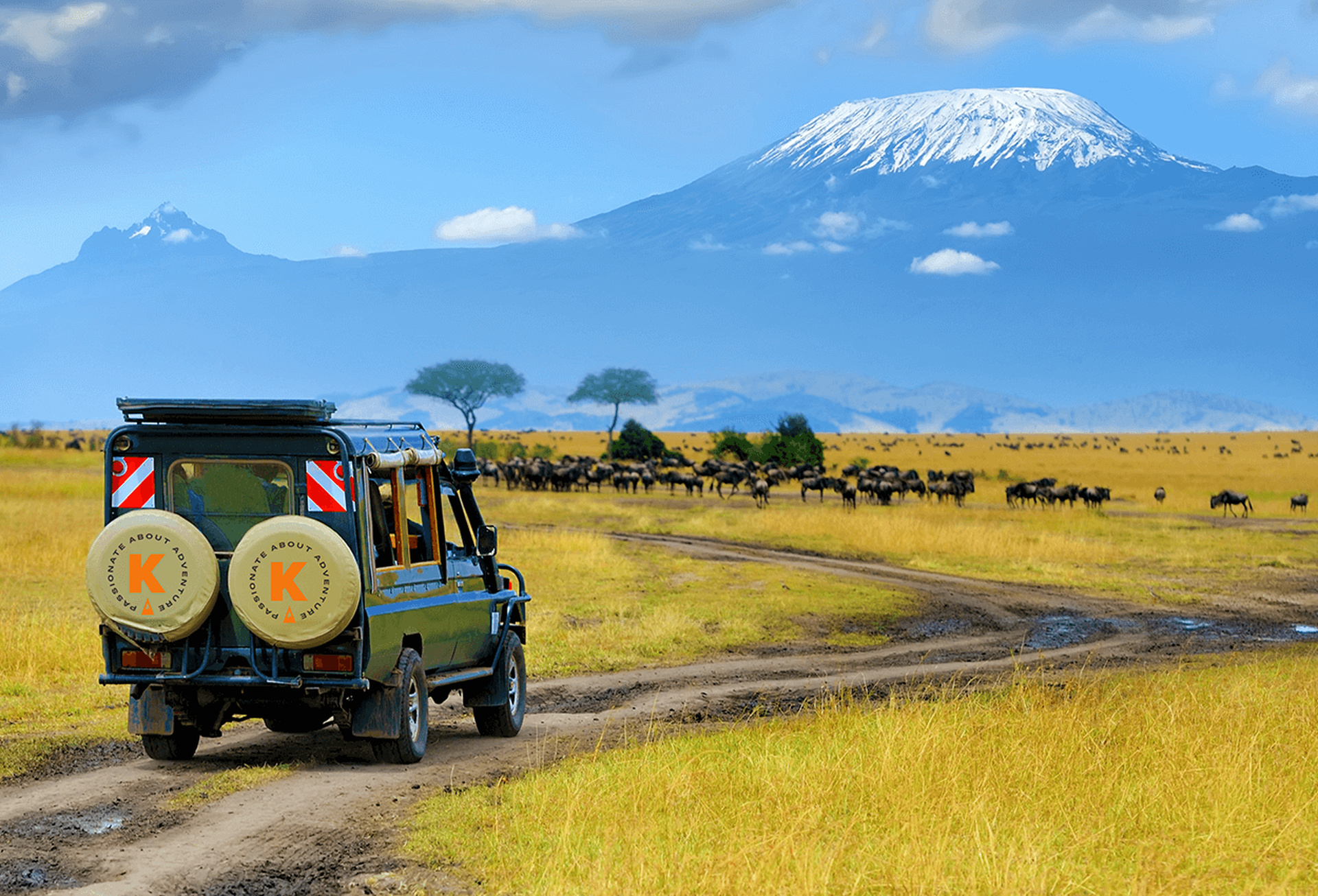 Kandoo Safari Vehicle, Tanzania