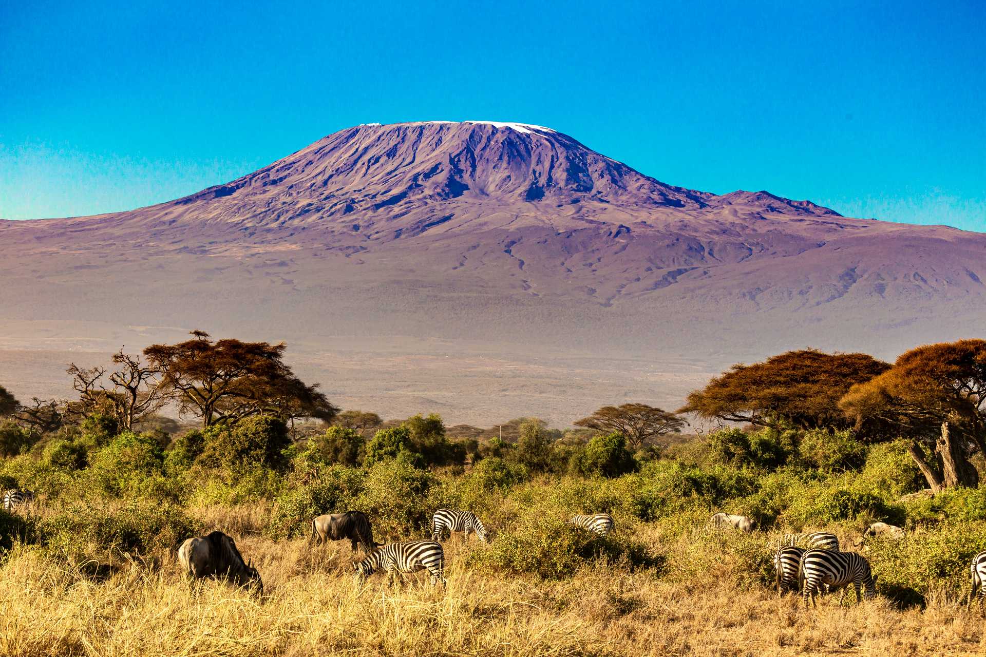 Kilimanjaro National Park Kandoo Adventures Kilimanjaro National Park Kandoo Adventures
