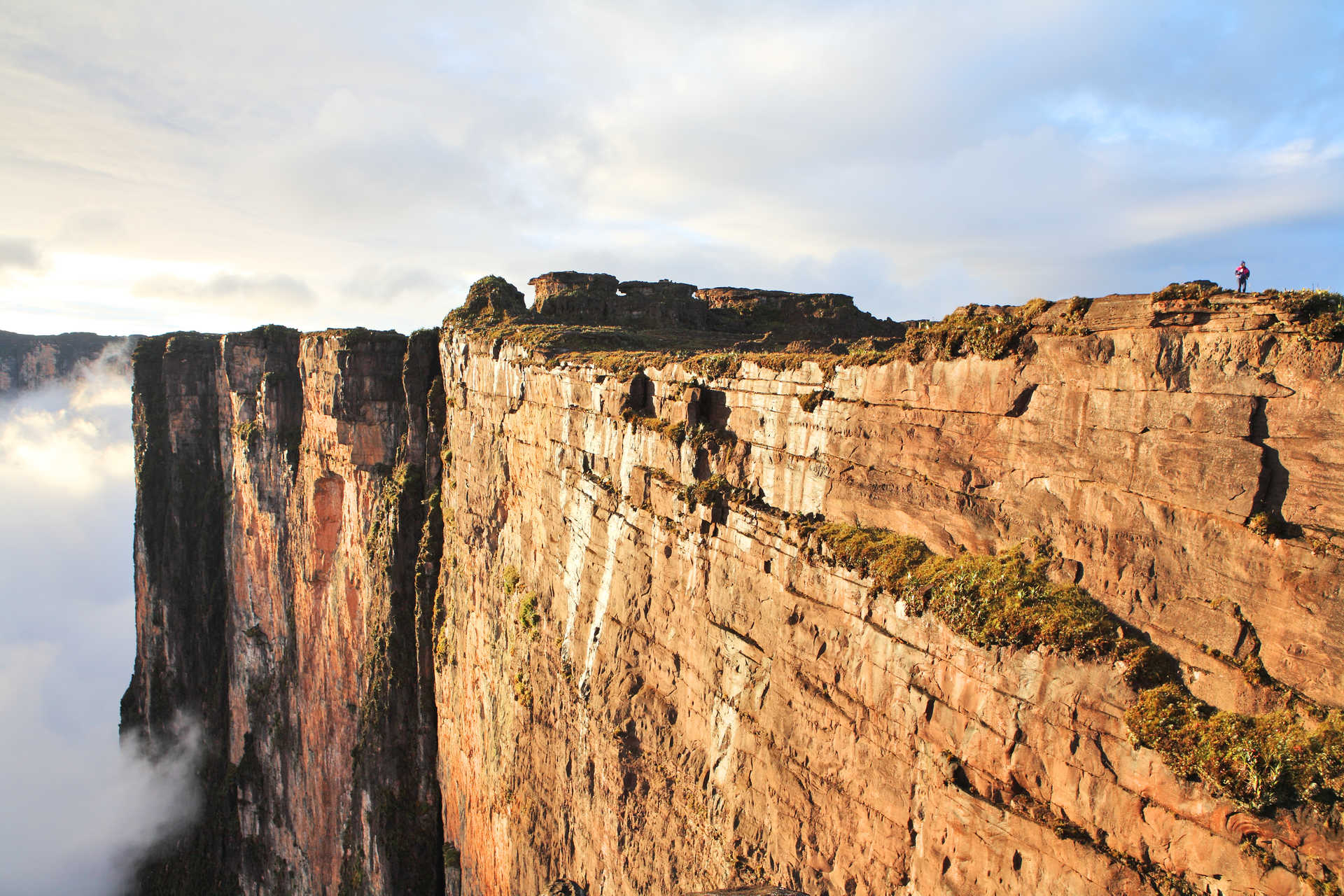 Mount Roraima Tepui Guyana