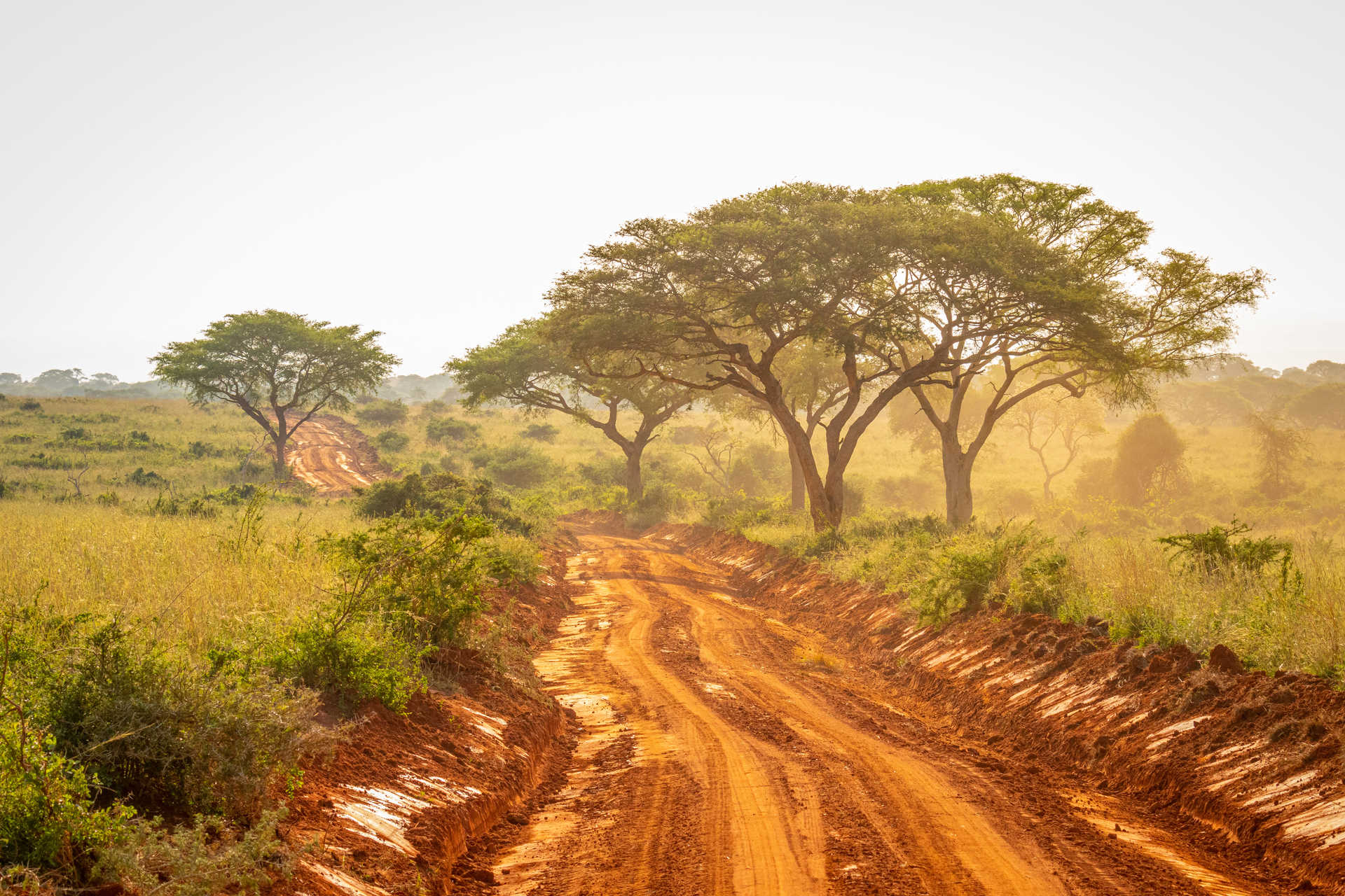 Muddy track in Murchison falls NP, Uganda