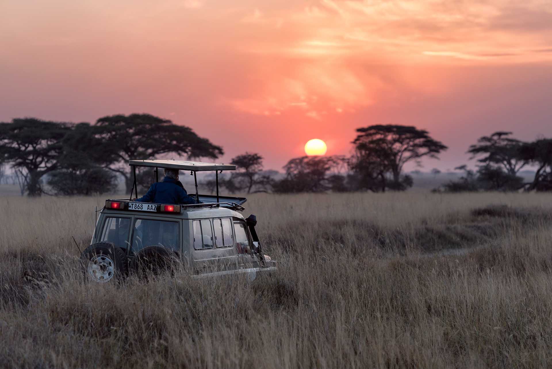 Sunrise during a Safari