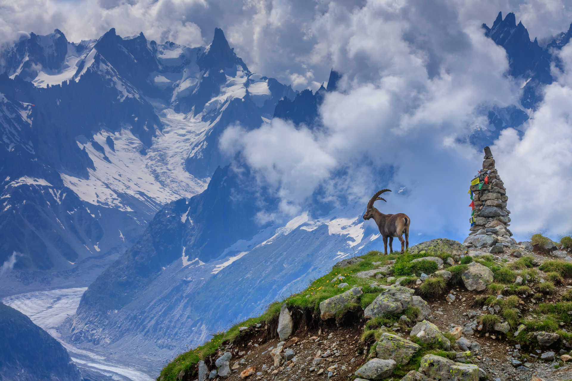 Tour du Mont Blanc