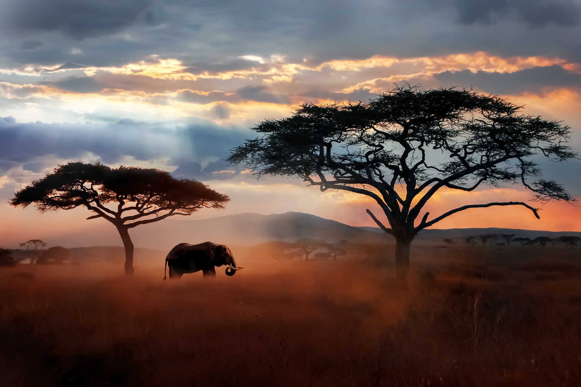 Ultimate Tanzania, Serengeti National Park